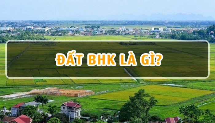 Đất BHK là gì? Những quy định sử dụng đất BHK mới nhất