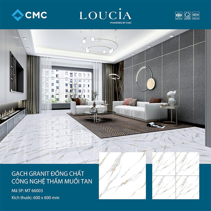 Gạch Granite thấm muối tan