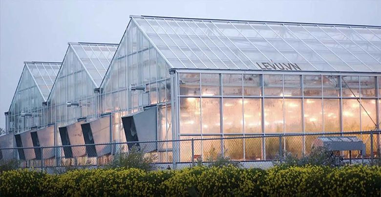 Tấm lợp polycarbonate chất lượng cao
