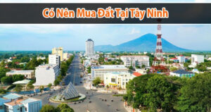 Ý nghĩa câu hỏi: Có nên mua đất Tây Ninh hay không?