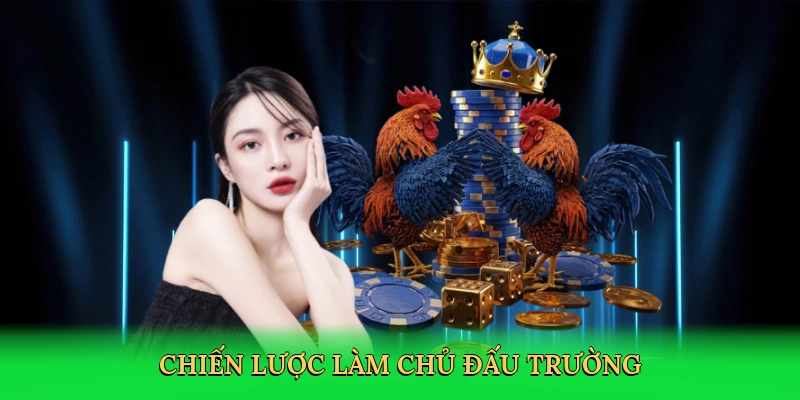 Đá Gà Thomo &#8211; Hành Trình Cá Cược Kịch Tính Tại LD789