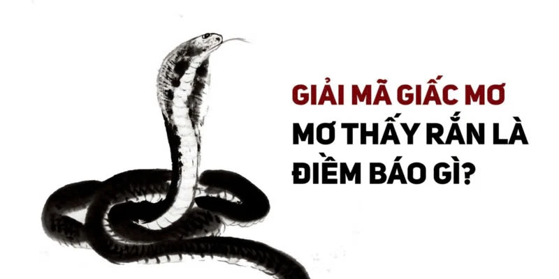Giải Mã Mơ Thấy Rắn FB88: Bí Ẩn Vận May Bạn Cần Biết