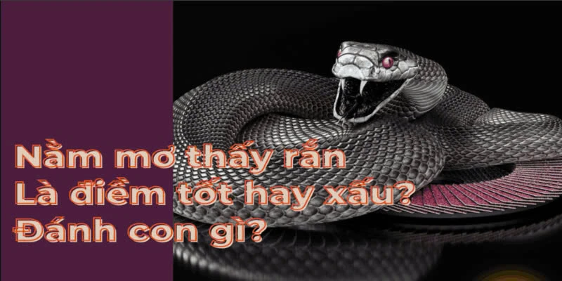 Giải Mã Mơ Thấy Rắn FB88: Bí Ẩn Vận May Bạn Cần Biết