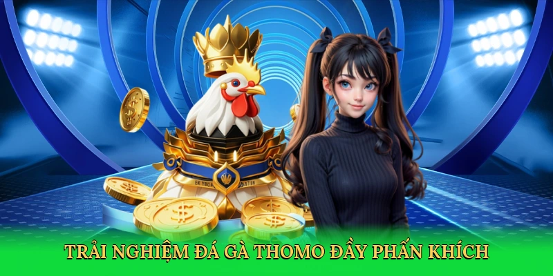 Đá Gà Thomo &#8211; Hành Trình Cá Cược Kịch Tính Tại LD789