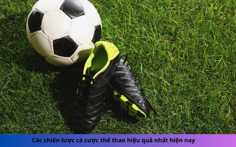 Các chiến lược cá cược thể thao hiệu quả nhất hiện nay
