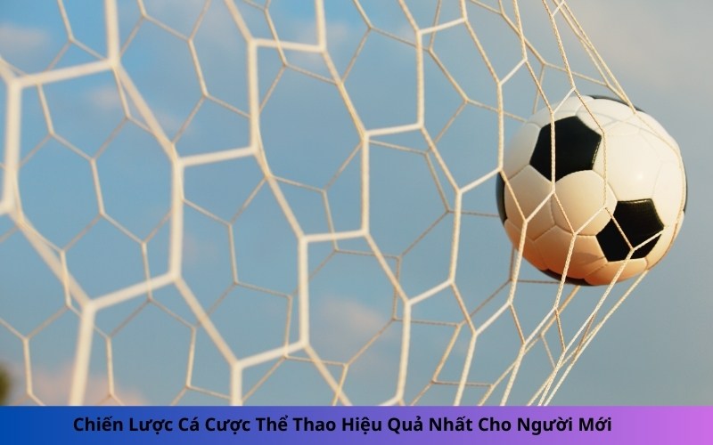 Chiến Lược Cá Cược Thể Thao Hiệu Quả Nhất Cho Người Mới