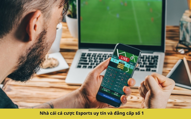 Nhà cái cá cược Esports uy tín và đẳng cấp số 1