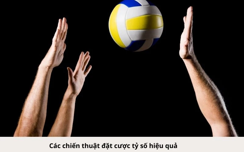 Hướng dẫn cách đặt cược tỷ số bóng chuyền hiệu quả