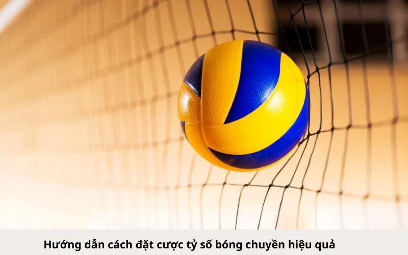 Hướng dẫn cách đặt cược tỷ số bóng chuyền hiệu quả